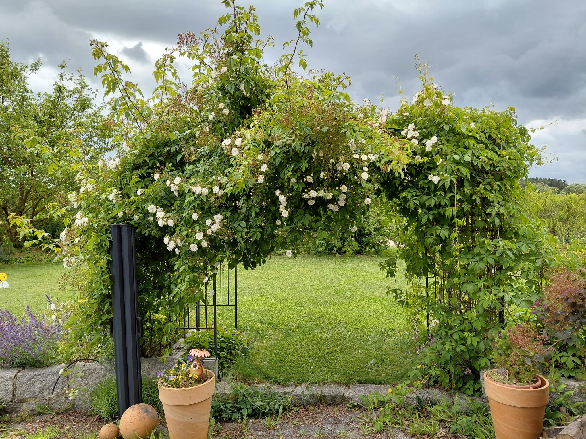 Gartengestaltung Galabau Friedel